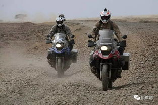 车撞飞骑行者致2死，悲剧背后的警醒与反思