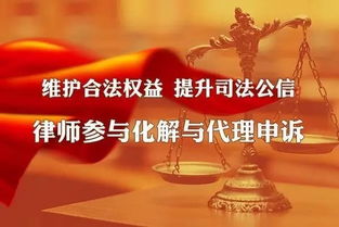 宁波刑事辩护律师，守护公平正义的法律之光