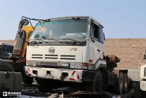 猫卡车里拆车救猫记