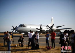 客机飞行中发现老鼠的惊人经历