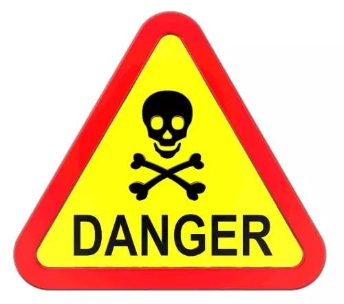 危险的模仿，眼镜蛇头塞入口中的警示