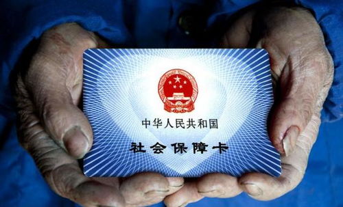 社保转移流程详解，让每一次变动都顺畅无忧