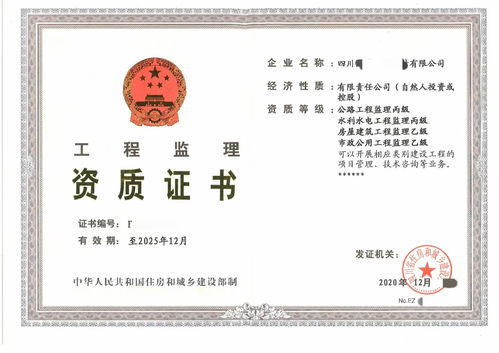 工程设计资质标准，构建高质量发展的基石