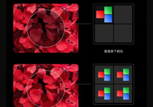 小米摄像头下的对话世界