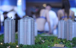 杭州公租房，城市温度的体现与未来展望