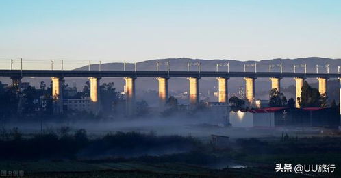 谁是出游目的地顶流