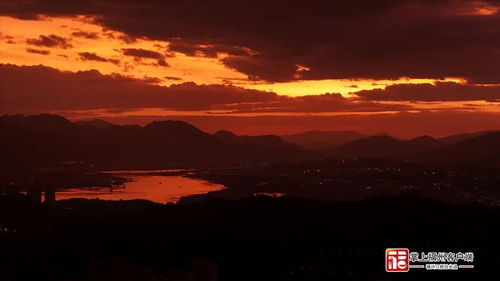 上海现紫红色天空，探索背后的奥秘