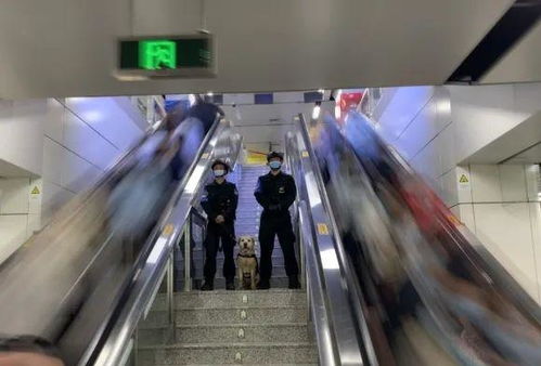 男子地铁猥亵被抓，反思公共场所的文明与法治意识