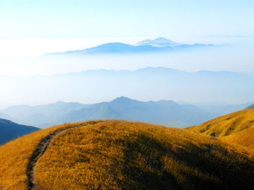 游客吐槽武功山之行，一场意料之外的困境
