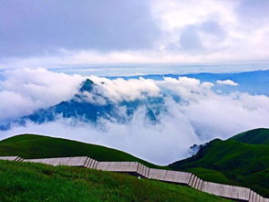 游客吐槽武功山之行，一场意料之外的困境