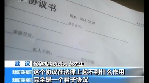 医院与代孕机构合作，法律伦理与道德责任的探讨