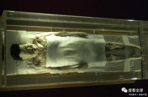 手机砸辛追夫人棺椁事件引发的思考