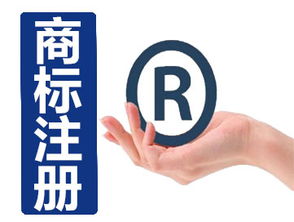 商标申请代理，企业品牌保护的得力助手