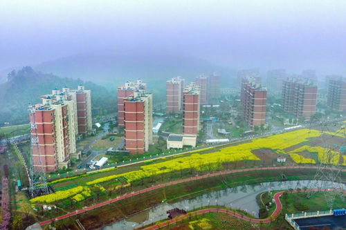 博罗房管局，构建宜居宜业的美丽家园