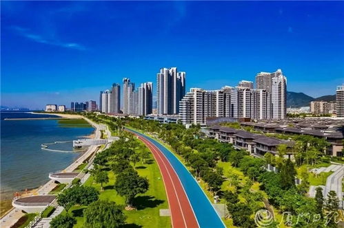 厦门贸发局引领城市经济新航向