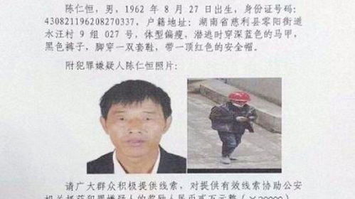 重大刑案嫌疑人潜逃，追踪与反思
