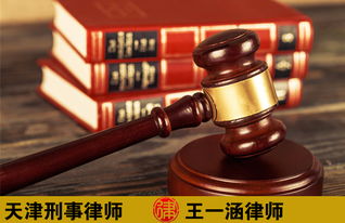律师刑事辩护的重要性及其在司法公正中的角色
