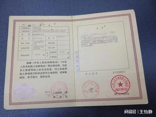房地产权证的重要性与获取流程详解