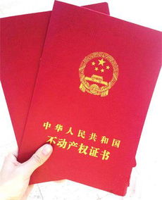 房地产权证的重要性与获取流程详解