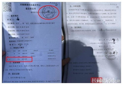 司法亲子鉴定，权威性与伦理考量的平衡