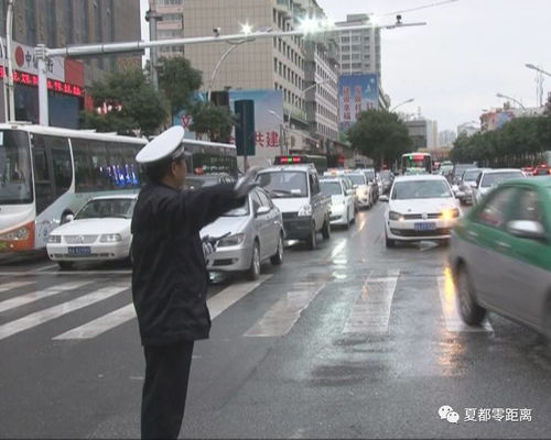 交通事故赔偿网，解决事故纠纷的新途径