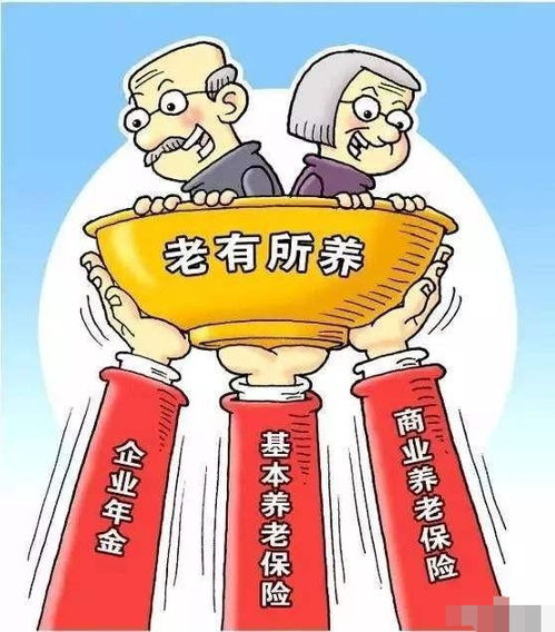 社保与养老保险，二者之间的关系与差异