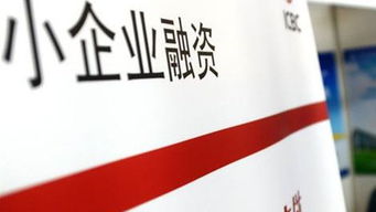 个体工商户贷款，破解小微经济融资难题的金钥匙