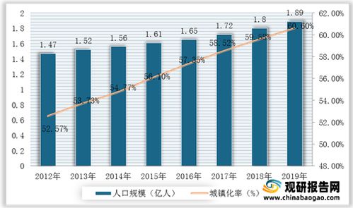 北京连车带牌出租，市场现状与未来趋势分析