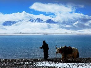 75岁骑电驴拉萨旅游，勇气与梦想的旅程