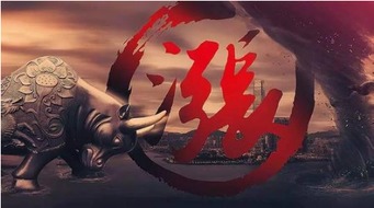 河北邮币卡市场的新篇章，文化与经济的双重奏