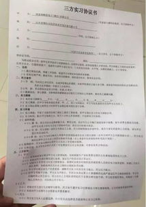 高校强制实习，教育的延伸还是负担？
