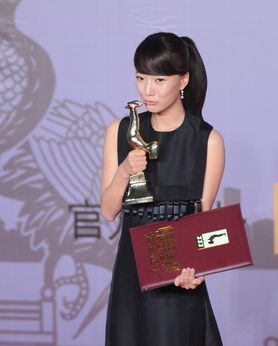 宋佳捐款，明星的力量与社会责任