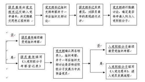 团员证丢失了怎么办？——全面应对策略