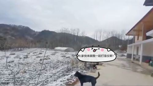 气象局回应成都下雪，雪落天府，气象为民