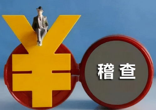 稽查是什么意思