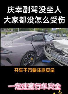 误撞奔驰车主免赔偿，责任与理解的双重胜利