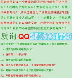 自愿连锁经营业，探索其独特魅力与未来趋势