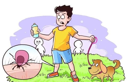 多地疾控健康提示，共同守护健康防线