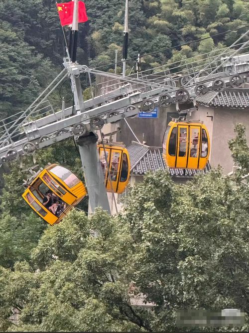 雁荡山索道突发故障，一次意外的考验与挑战