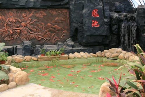 动物园转型风波，从养猪基地到生态乐园