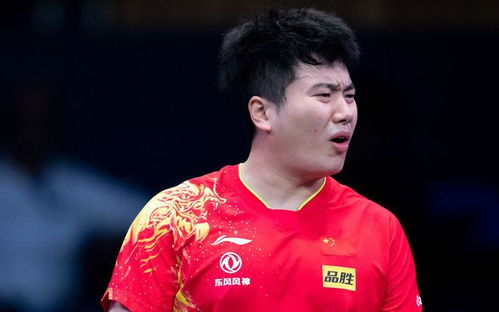 王楚钦与梁靖崑的冠军之路