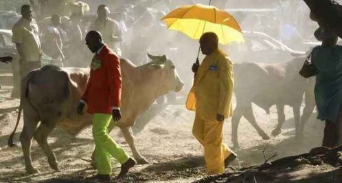 黎巴嫩女孩的不幸遭遇，勇敢面对逆境的坚韧与希望