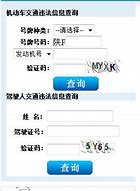 为何选择在线查询？