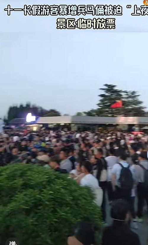 兵马俑被迫上夜班