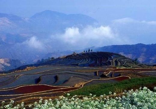 哀牢山本地人发声，守护家园的呼声与行动