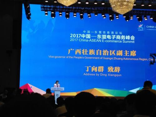 东盟峰会，凝聚共识，共谋区域繁荣新篇章