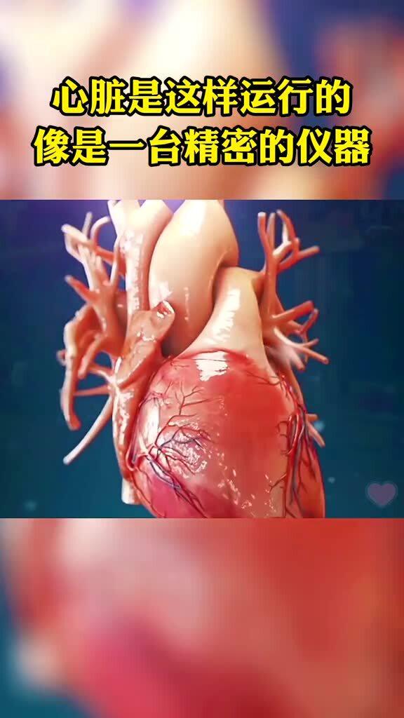 12小时心脏停20次，生命的坚韧与奇迹