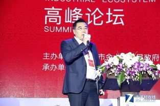 爱玛董事长被留置，企业治理的警钟与反思