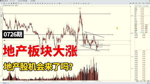 重仓地产股赚1200万，智慧与机遇的交响曲
