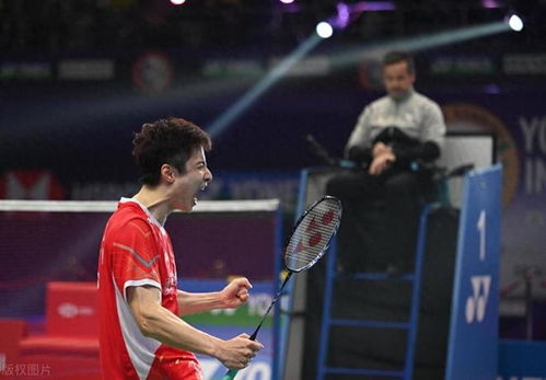 许昕因伤退赛，乒乓巨匠的无奈与坚韧